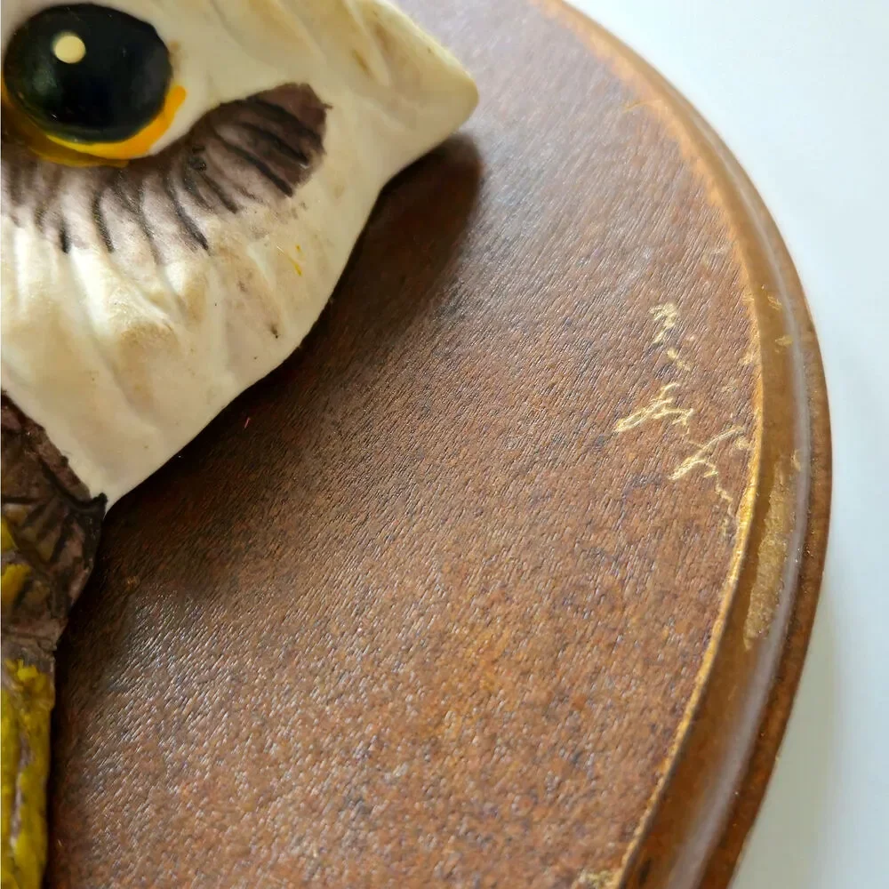 Vintage 1970s Owl Wall Plaque | 3D Resin Owl on Hardboard | MCM Autumn Kitsh